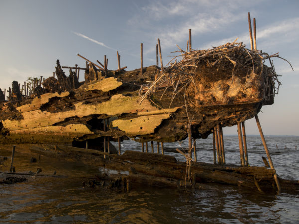 Image with missing alt attribute found on wamu.org