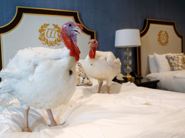 Image with missing alt attribute found on wamu.org