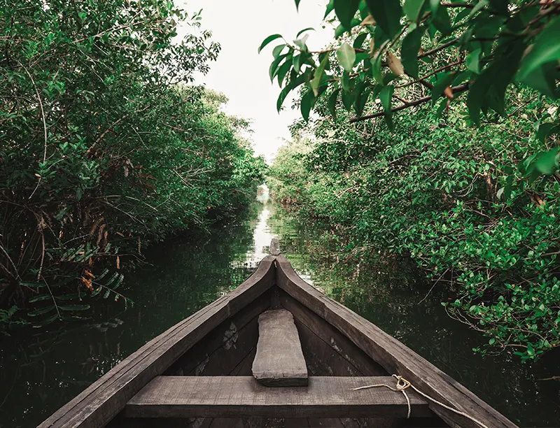 Canoe Tour Water Gate Resort