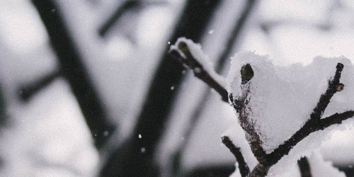 Image with missing alt attribute found on weatherology.com