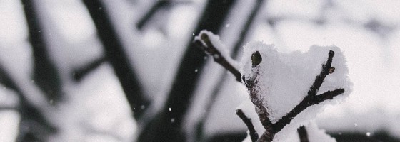 Image with missing alt attribute found on weatherology.com