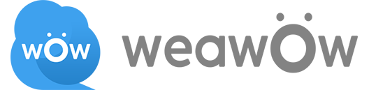 Image with missing alt attribute found on weawow.com