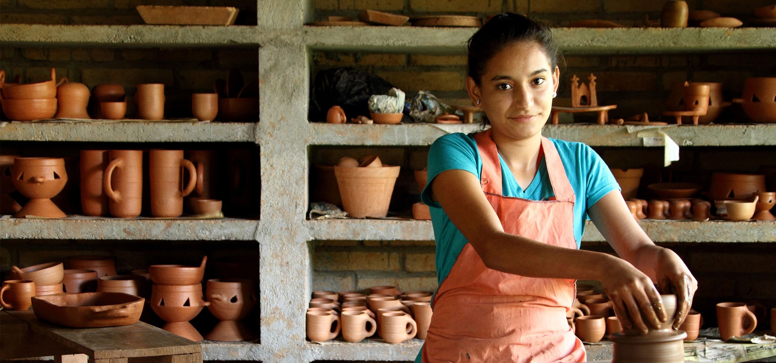 Image with missing alt attribute found on iadb.org