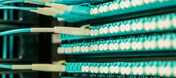 What's The Difference Between VPS and Dedicated Servers