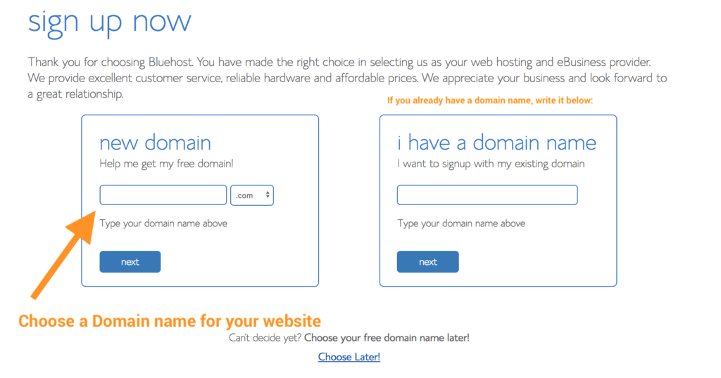 Choose a domain name