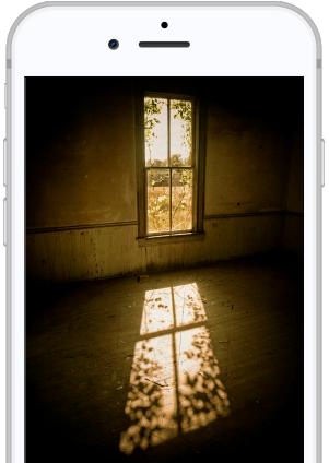 Image with missing alt attribute found on weegy.com