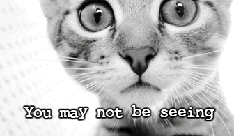 Image with missing alt attribute found on welovecatsandkittens.com