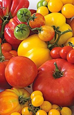 Image with missing alt attribute found on whiteflowerfarm.com