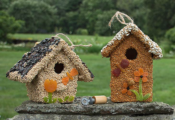 Image with missing alt attribute found on whiteflowerfarm.com