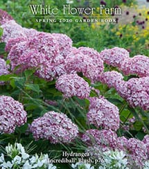 Image with missing alt attribute found on whiteflowerfarm.com