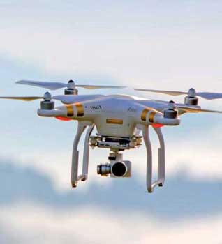 Flying bird-AI and New Technology