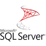 Image with missing alt attribute found on whizcamp.tech