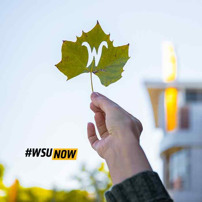 WSU Now website