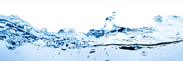 Image with missing alt attribute found on wipo.int