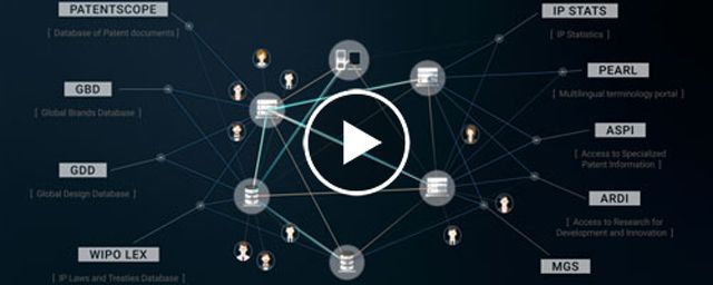 Image with missing alt attribute found on wipo.int