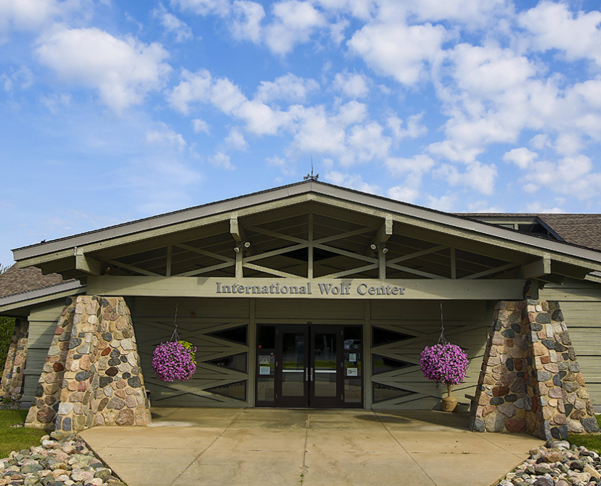 Image with missing alt attribute found on wolf.org