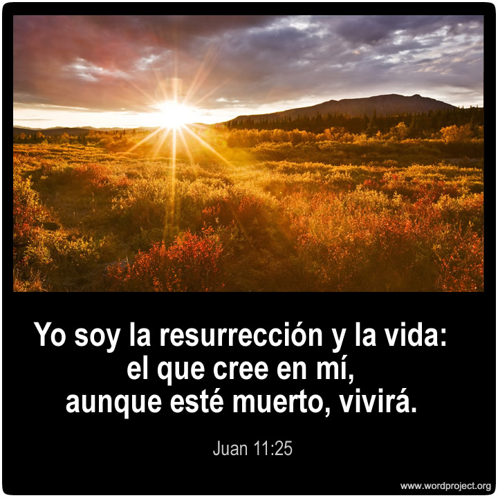 Image with missing alt attribute found on wordproject.org