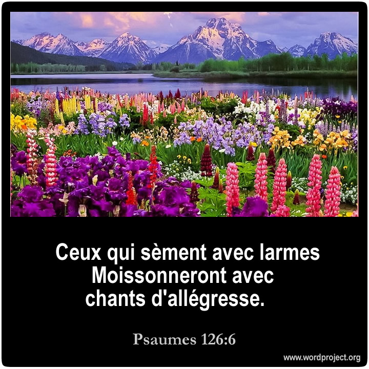 Image with missing alt attribute found on wordproject.org