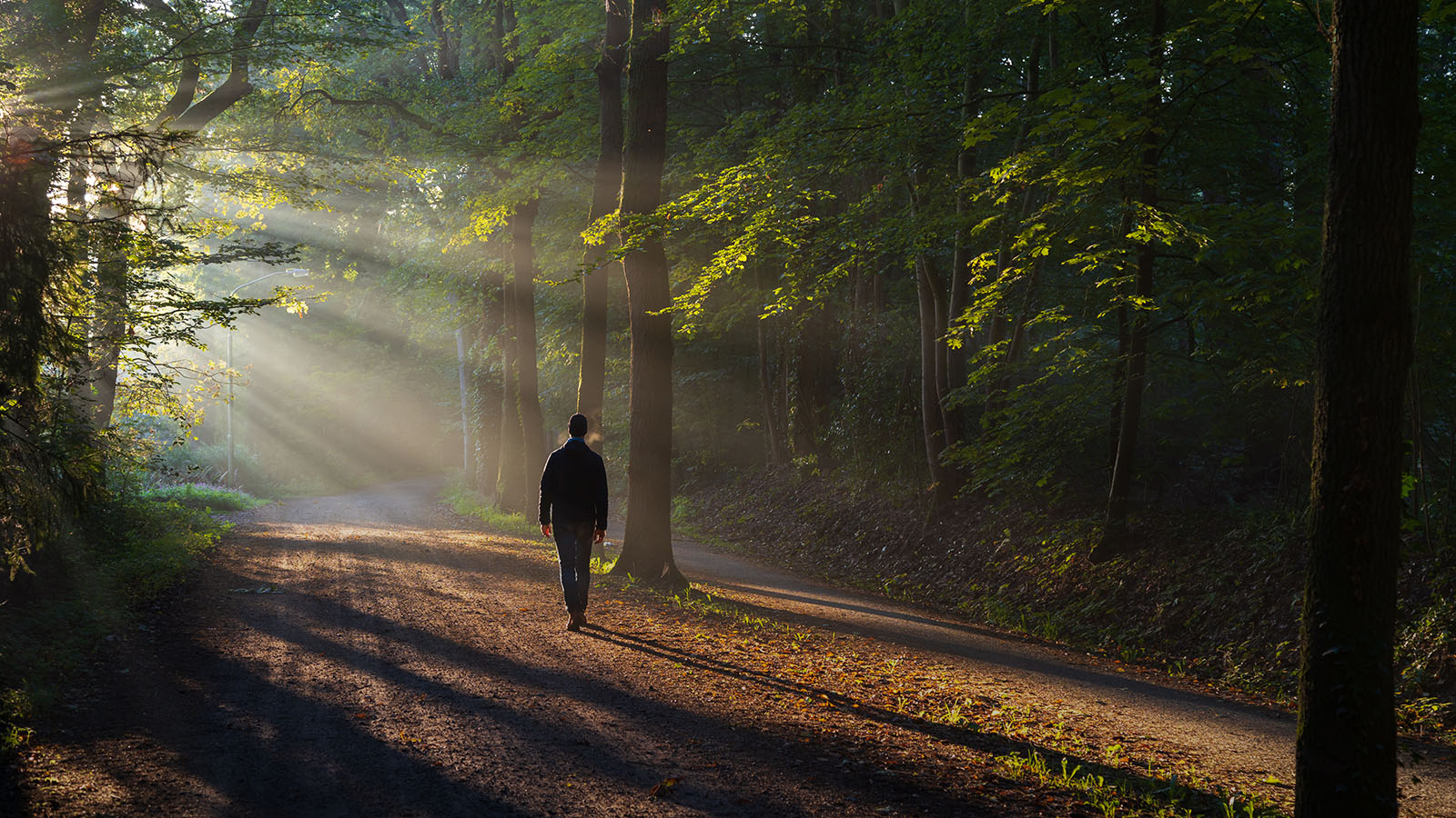 Image with missing alt attribute found on worldchallenge.org