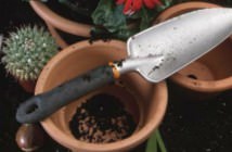 Image with missing alt attribute found on worldofsucculents.com