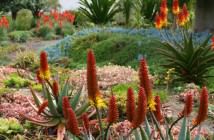 Image with missing alt attribute found on worldofsucculents.com