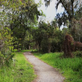 Image with missing alt attribute found on patheos.com