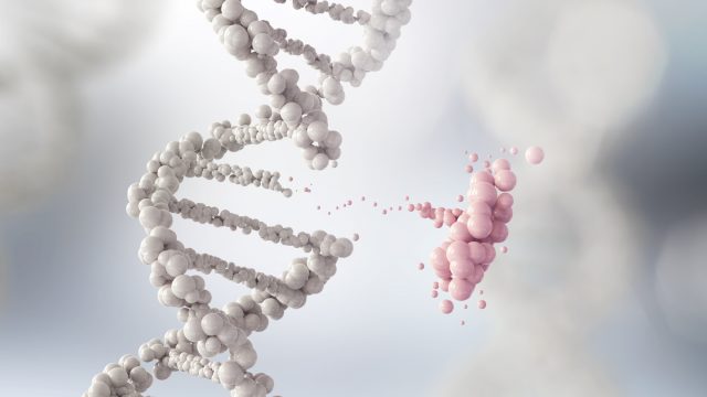 Image with missing alt attribute found on biologos.org