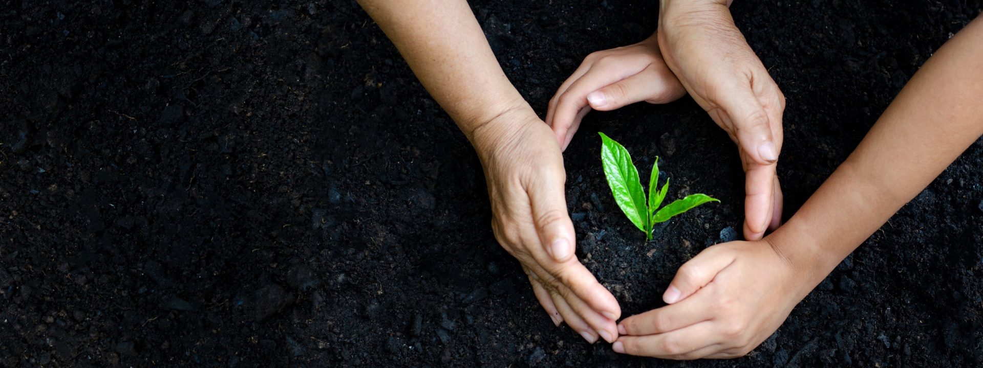 Image with missing alt attribute found on biologos.org