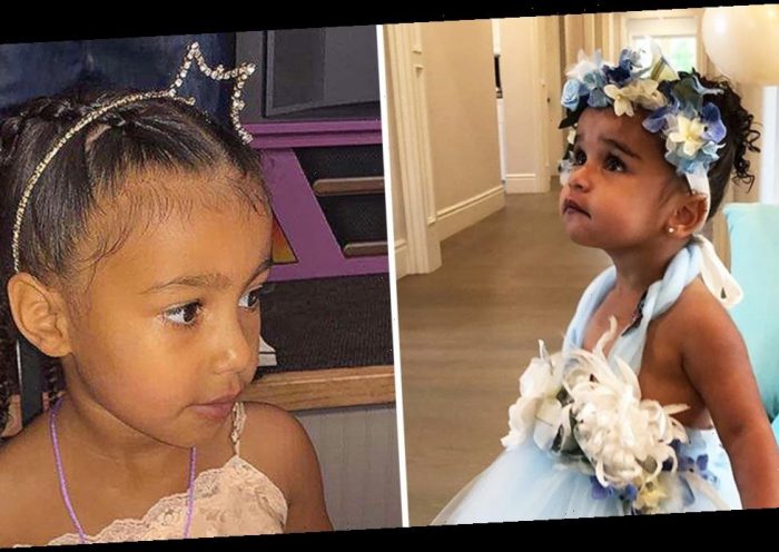 Image with missing alt attribute found on wstale.com