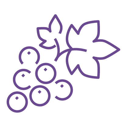 Image with missing alt attribute found on wtso.com