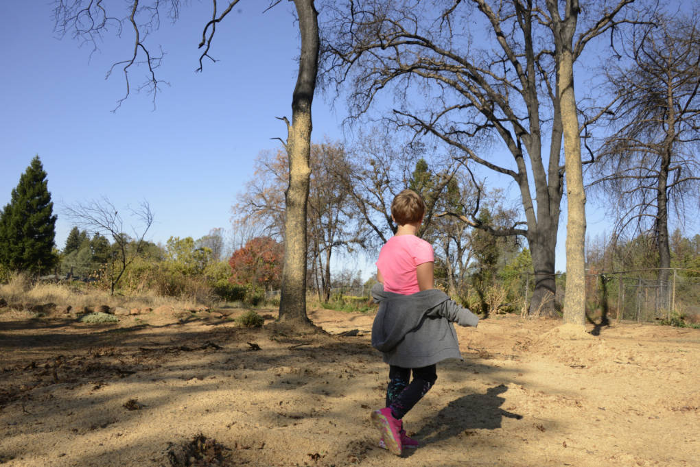 Minds Scarred by Wildfire: How Disasters Linger