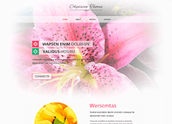 Image with missing alt attribute found on one.one