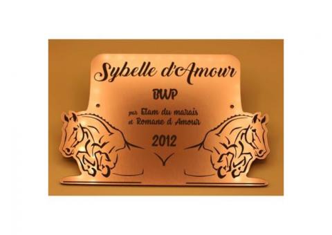 plaque de box