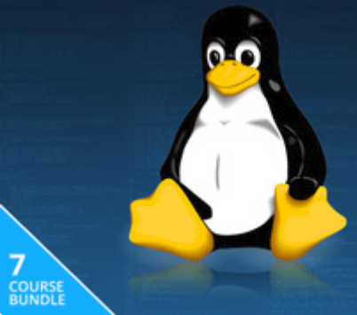 Image with missing alt attribute found on 2daygeek.com