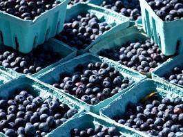 Image with missing alt attribute found on 345health.com