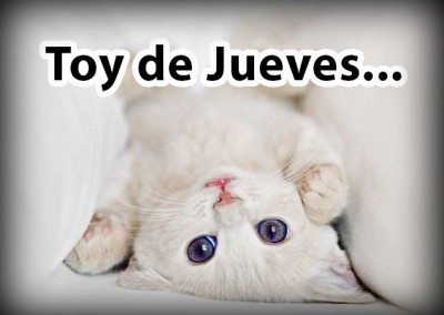 Toy de Jueves...