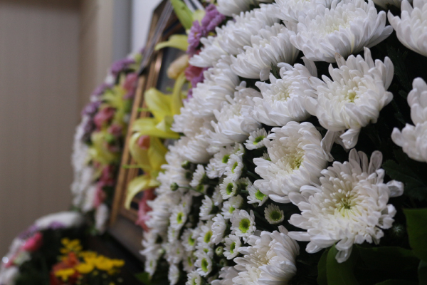 Image with missing alt attribute found on 3promise.com