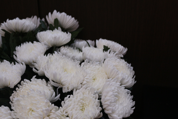 Image with missing alt attribute found on 3promise.com