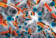 Image with missing alt attribute found on 420magazine.com