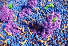 Image with missing alt attribute found on 420magazine.com