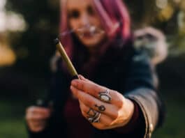 Image with missing alt attribute found on 420magazine.com