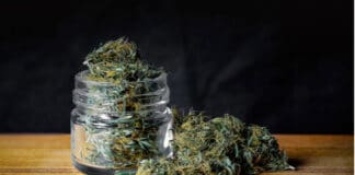 Image with missing alt attribute found on 420magazine.com