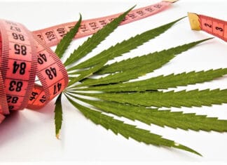 Image with missing alt attribute found on 420magazine.com