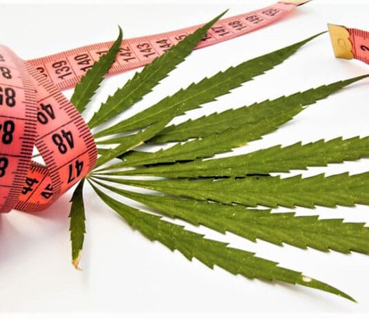 Image with missing alt attribute found on 420magazine.com