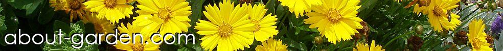 About-garden.com