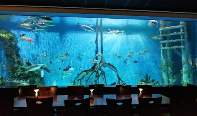 Hooked on RumFish Grill in St. Pete Beach, FL