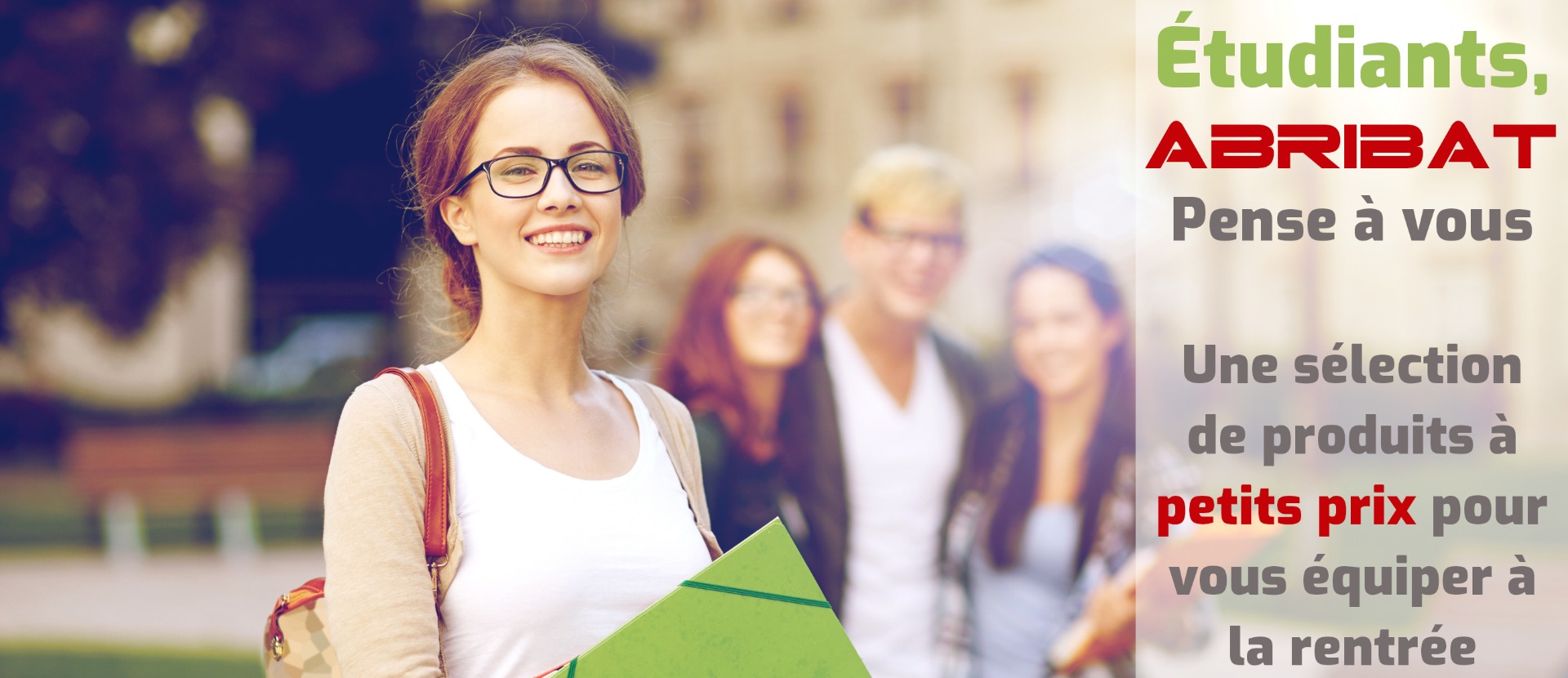 Image with missing alt attribute found on abribatelectromenager.fr