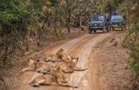 Devaliya Jeep Safari