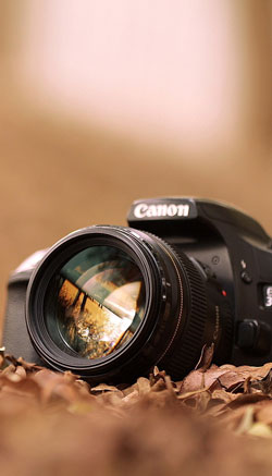 Image with missing alt attribute found on acesolutionafrica.com