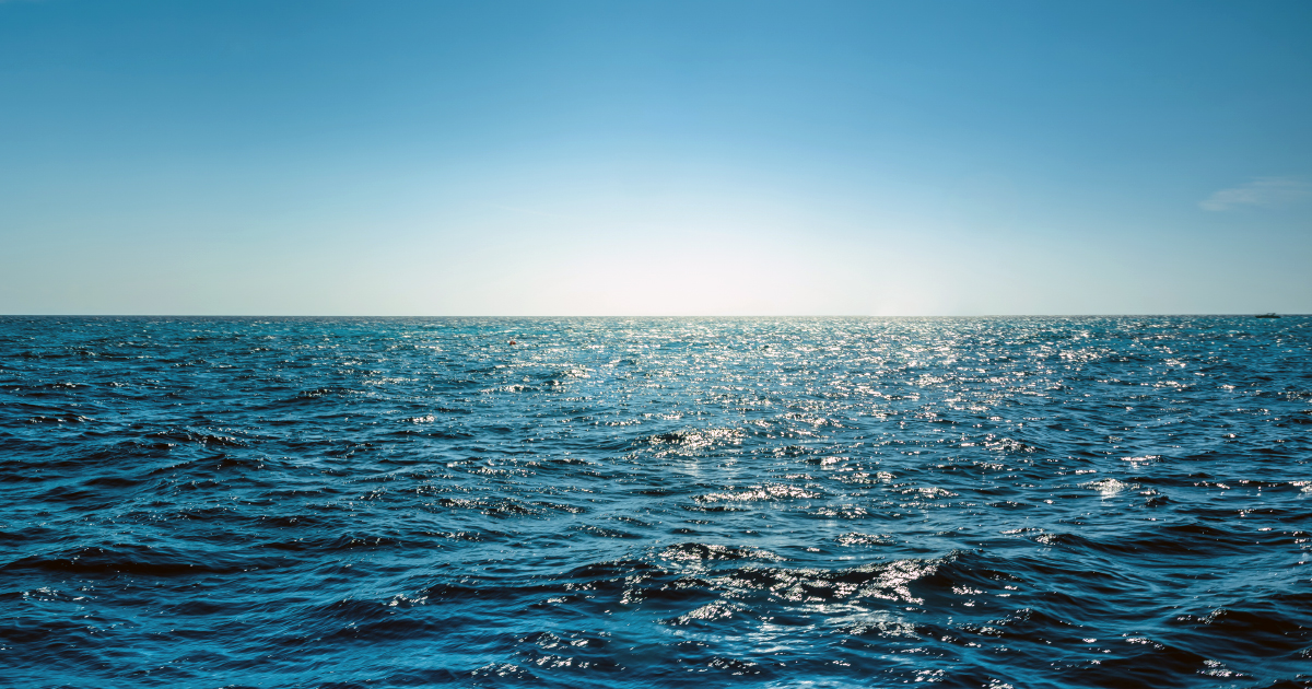 De quelle couleur sera la COP bleue?